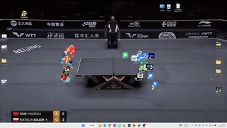 2025wwt3-预览.gif