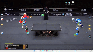 2025wwt4-预览.gif